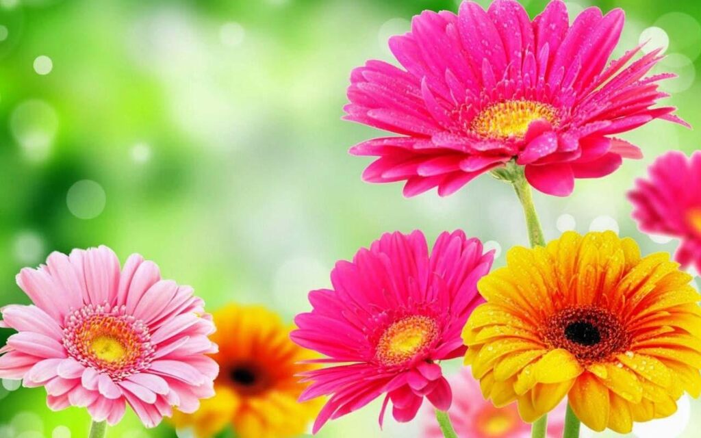 Spring is here!